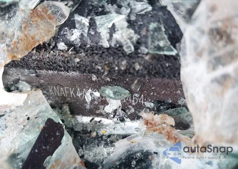 2016 Kia Forte Lx from USA, damaged, VIN KNAFK4A69G5531464